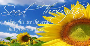 caring for your thought seeds