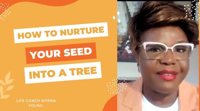 How to Nurture Your Seeds into a Tree
